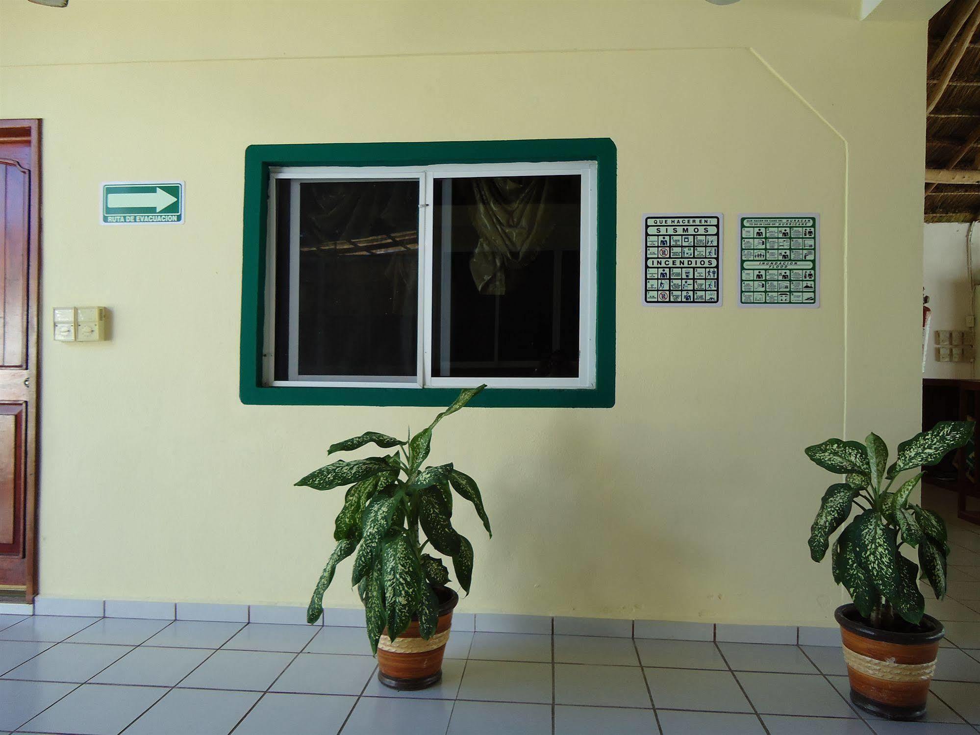 Oyo Hotel Palma Real Tulum Eksteriør bilde